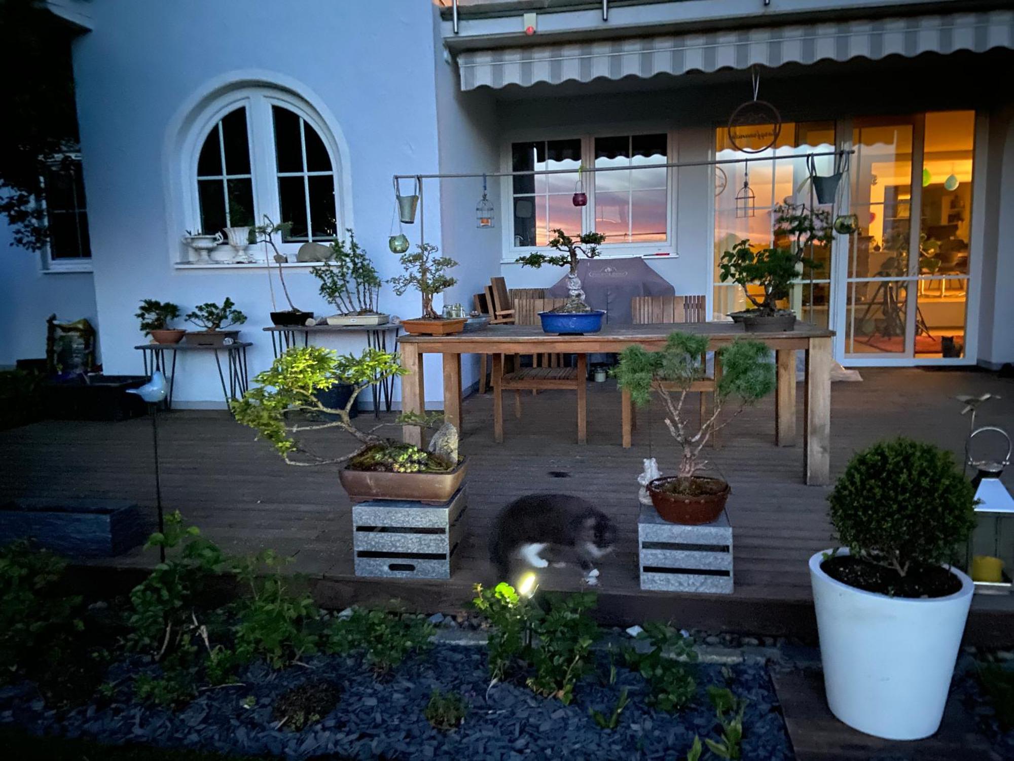 Das Blaue Haus - Ein Sommertraum Und Ein Wintermaerchen Weiler-Simmerberg Ngoại thất bức ảnh